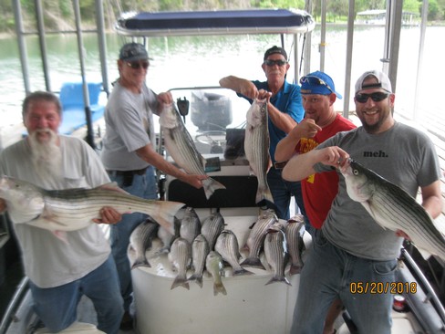 Nice Striped Bass